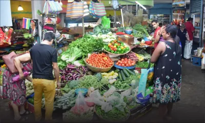 Sécheresse - Légumes : prix en hausse, qualité en baisse