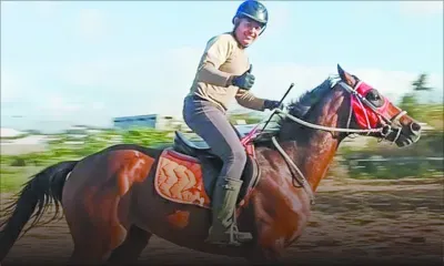 Le temps des chevaux