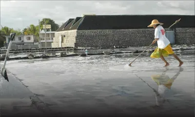Les Salines, Rivière-Noire : premiers coups de pioche pour six projets hôteliers