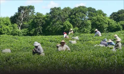 Salaire: ce que toucheront 100000 employés suivant les recommandations du NRB