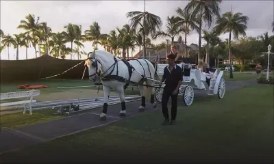 Les Calèches du Paradis : en selle !