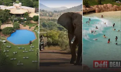 Sun City – Pilanesberg : célébrez la St Valentin en Afrique-du-Sud