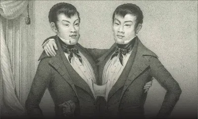 Siamois - Un Brin d’histoire - Eng et Chang : les premiers siamois répertoriés en 1811