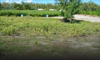 Belle-Mare Water Users’ Multipurpose Co-operative Society : la révocation du conseil d’administration réclamée