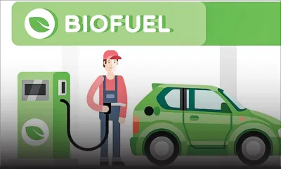 Alternatif aux produits pétroliers - Biocarburant : ce mélange salvateur qui se fait attendre 