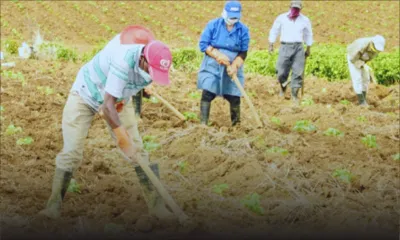 Consommation : les raisons de la hausse des prix des légumes 