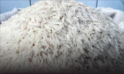 Riz Basmati: le certificat d’authenticité ne fait pas l’unanimité