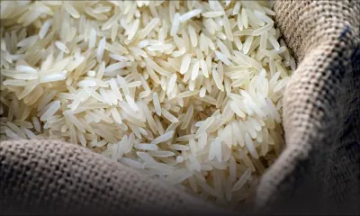 Basmati : confusion totale autour de la qualité