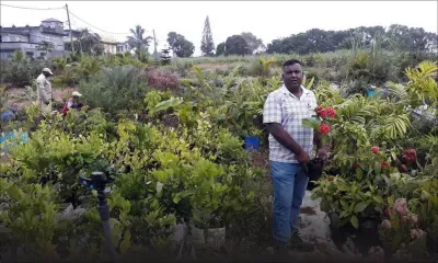 Ajay Ramsaran, pépiniériste et paysagiste : quand la passion pour les plantes se transforme en bonnes affaires