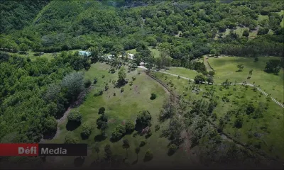 Environnement : la superficie totale des forêts a diminué d'environ 20 hectares à Maurice
