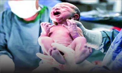 Declining birth rate and ageing population : Mauritius in danger of a demographic time bomb 