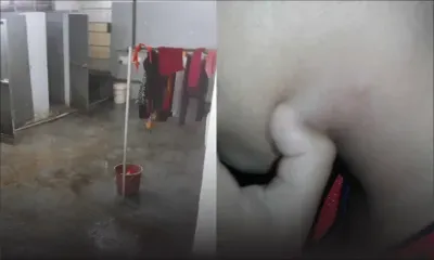 Dans le Sud : des punaises d’un dortoir envahissent sa maison