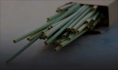 Interdiction des produits en plastique : Maurilait offrira des pailles végétales d’ici le 15 avril