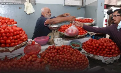 Consommation : le prix de la pomme d’amour prend son envol