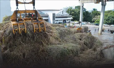 Centrale Alteo : le prix de la bagasse ralentit les négociations