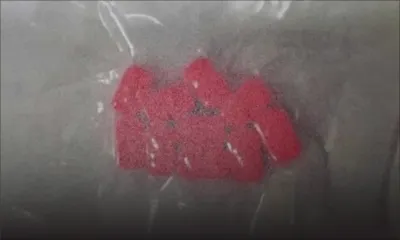 10 tablettes d’ecstasy saisies