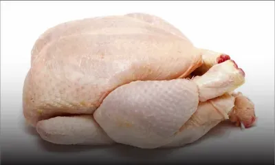 Prix du poulet : la CCM inflige Rs 30 millions d’amende à Panagora Marketing