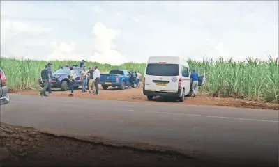 Disparition suspecte : vaste battue à Albion pour retrouver le corps d’un trentenaire