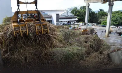 Shedding light on the sugar revenue stream