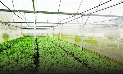 Accord MSPA/Gouvernement : dix ans nécessaires pour récupérer les 2 000 arpents