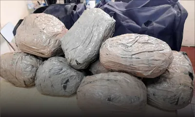 Baie-du-Cap : Rs 10 M d’herbe de cannabis saisie dans une voiture