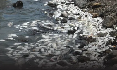 Secteur commercial: pourquoi des milliers de produits alimentaires sont saisis par an