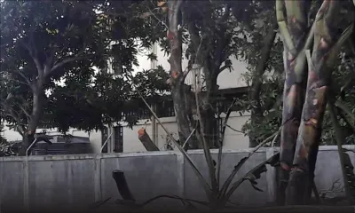 Intoxication suite à un incendie dans un champ - Un écolier: ‹‹ nous avons paniqué, nous suffoquions ››