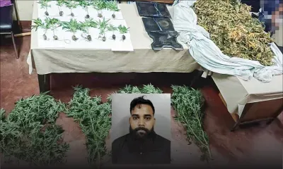 Arrestation d’un homme d’affaires à Quatre-Bornes : un drap renfermant Rs 6,1 millions de cannabis saisi par la Flying Squad