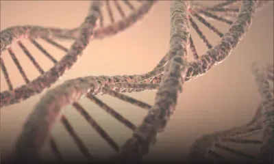 Soupçons d’infidélité : un mari bafoué réclame un test de paternité