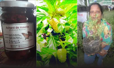 Créneaux porteurs : ces entrepreneurs qui font recette avec…