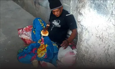 Gervais Sophie : l’homme qui vit sous un manguier depuis quinze ans