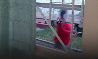 À la croisée de Vallée-des-Prêtres : un lieu de culte vandalisé pour la 7e fois