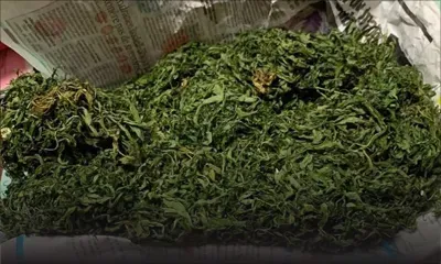 À Chemin-Grenier : deux frères avalent du gandia lors d’une descente de police 