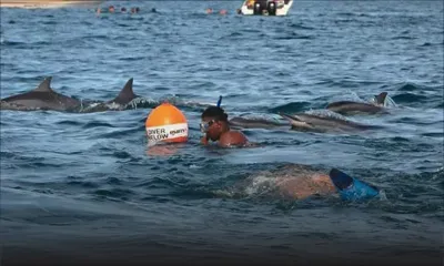 Suite à l’attaque de requins à Tamarin - Excursion en mer : de nouveaux règlements en gestation