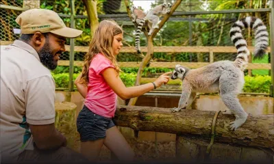 Vacances : la Vanille Nature Park élargit sa palette d’activités