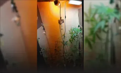 La Tour Koenig : il cultivait du cannabis dans son armoire