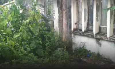 Terrains en friche : des actions plus sévères réclamées contre les propriétaires négligents