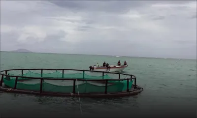 Projet aquacole : une lettre de dénonciation adressée au PM