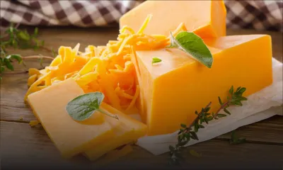 Acheter << malin >> - Fromage Cheddar : la concurrence maintient les prix