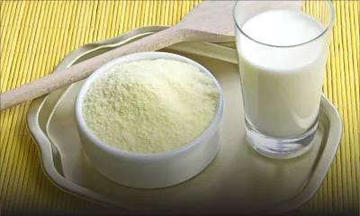 Lait en poudre : légère hausse pour Twin Cows