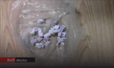 Drogue synthétique : des sachets estimés à Rs 900 000 retrouvés à Bain-des-Dames
