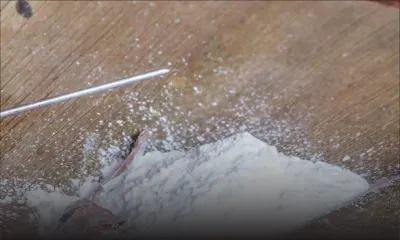 Pointe-aux-Piments : un jeune de 21 ans arrêté avec Rs 1,7 M de drogues