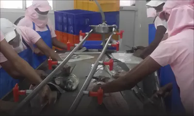 Transformation des produits de mer: Hassen Taher ouvre sa troisième usine en juin