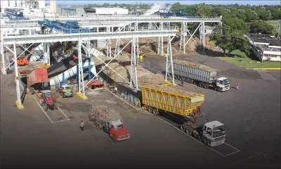 Importation de sucre: Omnicane vise de nouveaux marchés