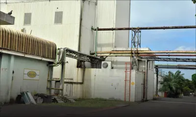 Lourdement endettée: Rose-Belle Sugar Estate vend et loue ses terres