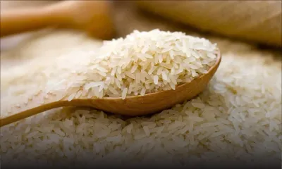 Certaines variétés de riz 15% plus chères