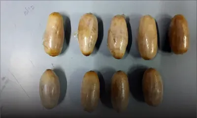 Saisie de drogue à Grande-Pointe-aux-Piments : l’Adsu craint le pire