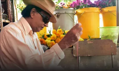 Entrepreneuriat - Seenanan Naradmoonte : un entrepreneur toujours vert à 84 ans