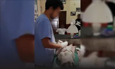 Stérilisation gratuite à Résidence Kennedy