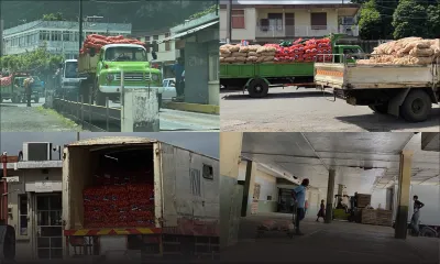 Agricultural Marketing Board : les gros distributeurs et supermarchés serviront de relais de livraison de légumes aux boutiques 